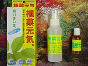 contents1_img005