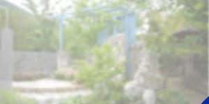 top_content_01